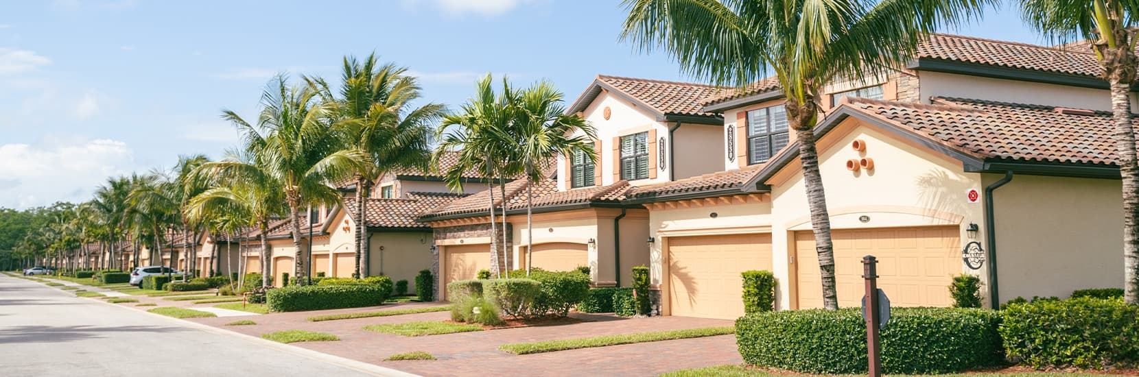 Florida Hero Background Image Florida Hero Background Image