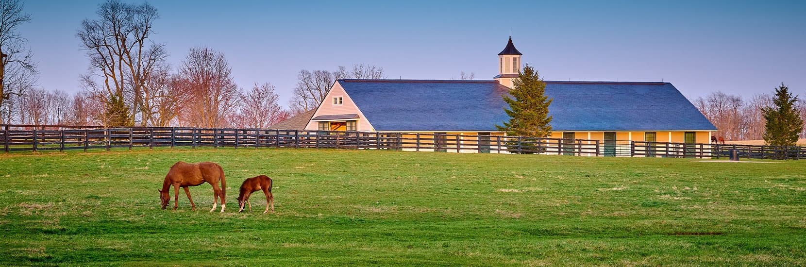 Kentucky Hero Background Image Kentucky Hero Background Image