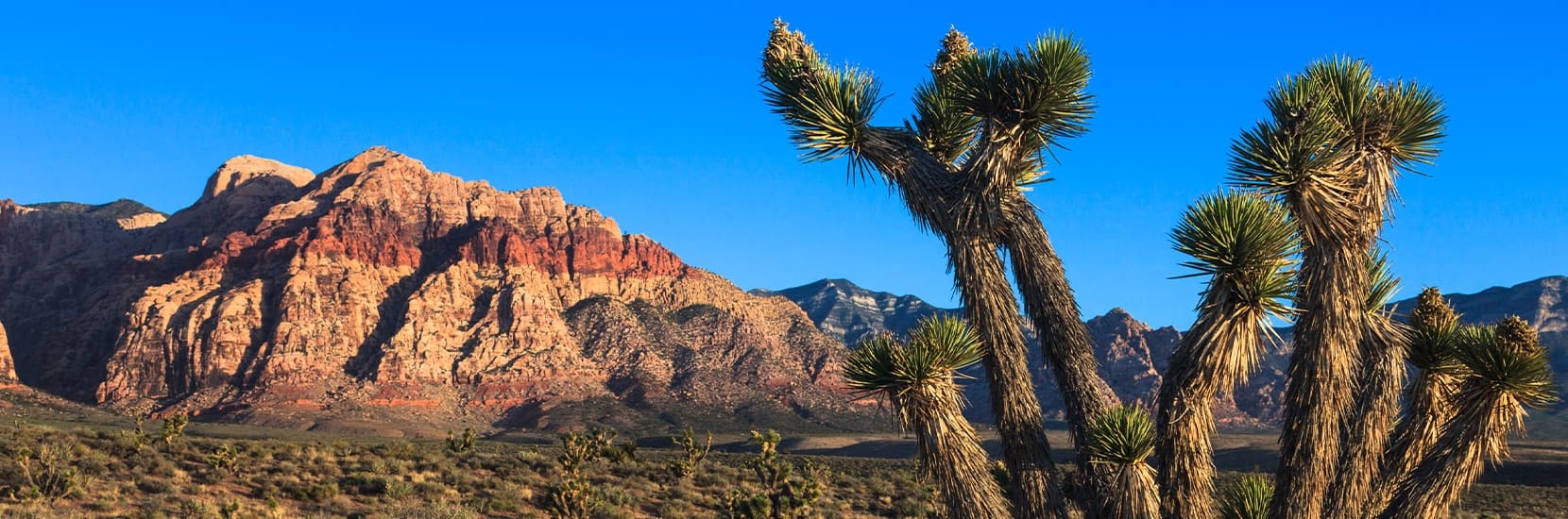 Nevada Hero Background Image Nevada Hero Background Image